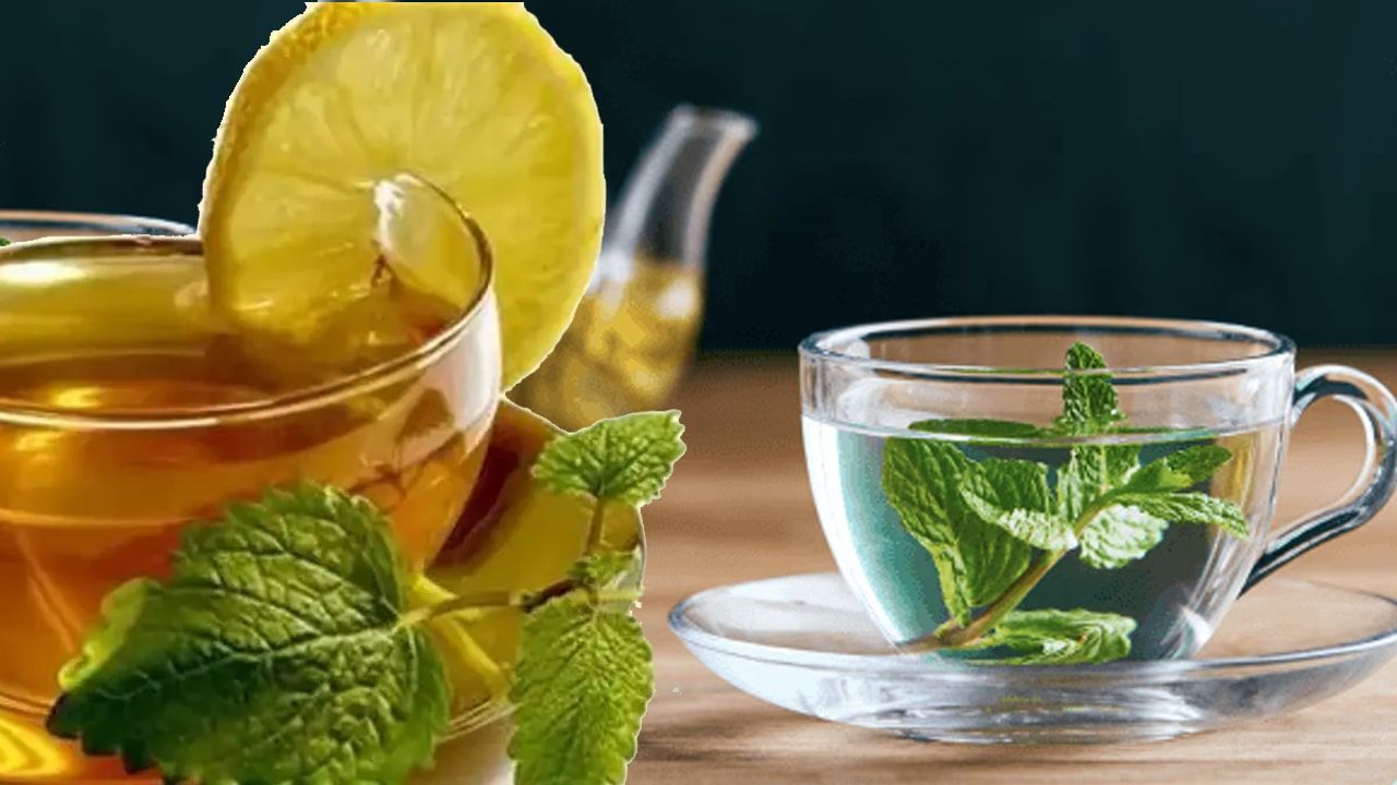 Hangi Bitki Çayı Neye İyi Geliyor?