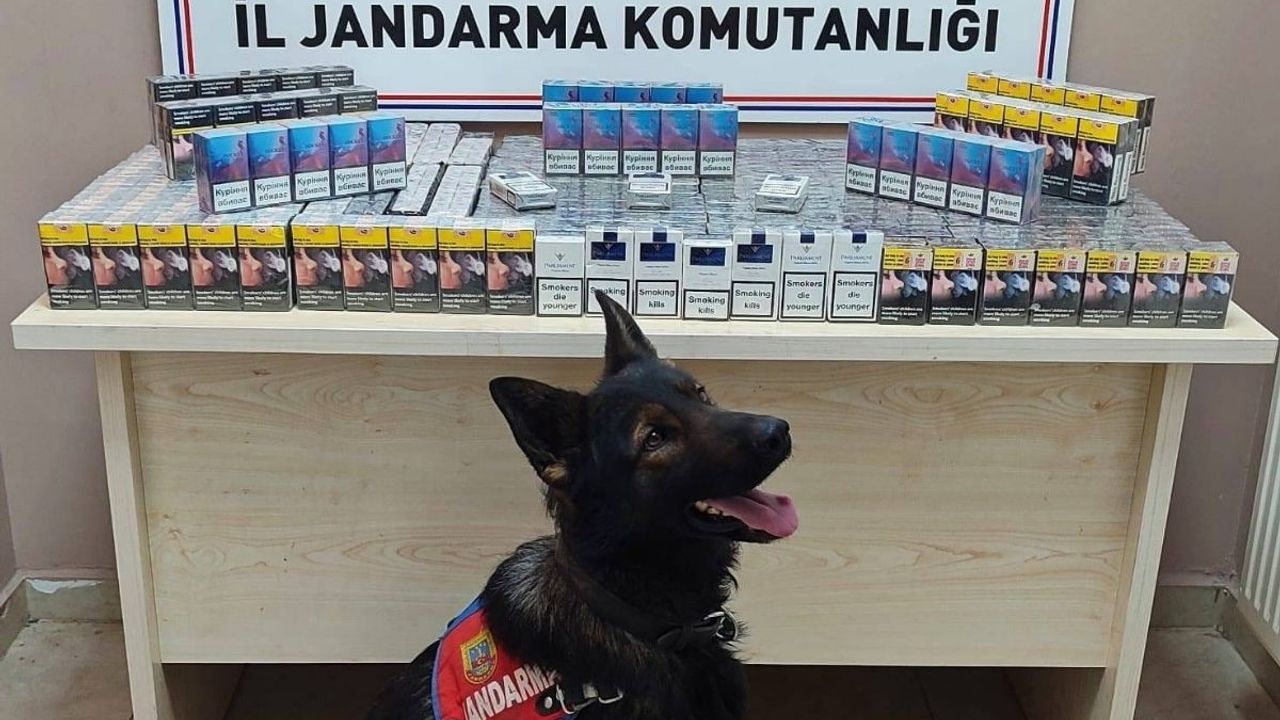 Kayseri’de kaçakçılıkla mücadele devam ediyor! 670 paket sigara paketi ele geçirildi