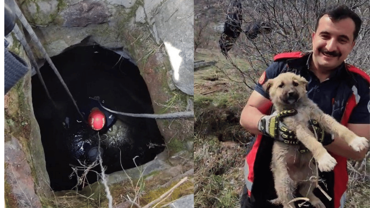 Kayseri İtfaiyesi su kuyusuna düşen minik köpeği kurtardı!