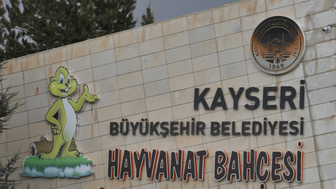 Kayseri’de 1 Mayıs’ta hayvanat bahçesi ücretsiz olacak!