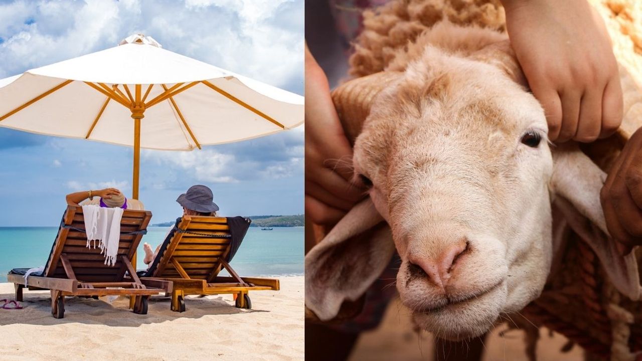 Kurban Bayramı ne zaman? Tatil kaç gün olacak?