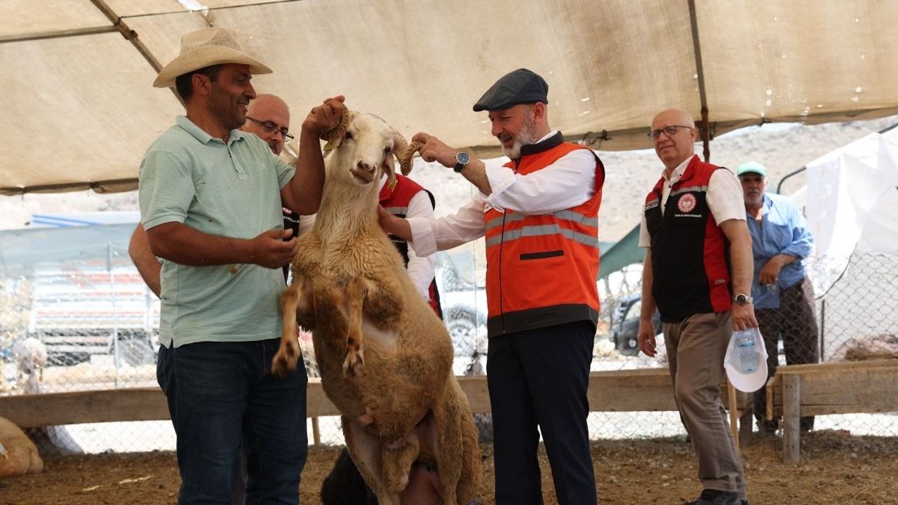 Kocasinan Belediyesi Kurban Bayramı'na hazırlanıyor!