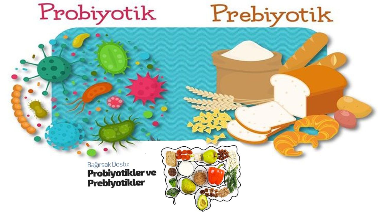 Prebiyotik ve Probiyotik Arasındaki Farklar Nelerdir?