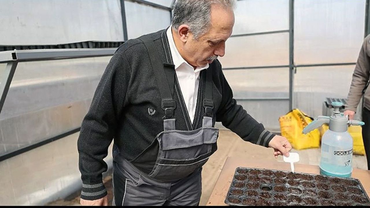 Talas Belediye Başkanı görev başında: Ata tohumları filizleniyor!