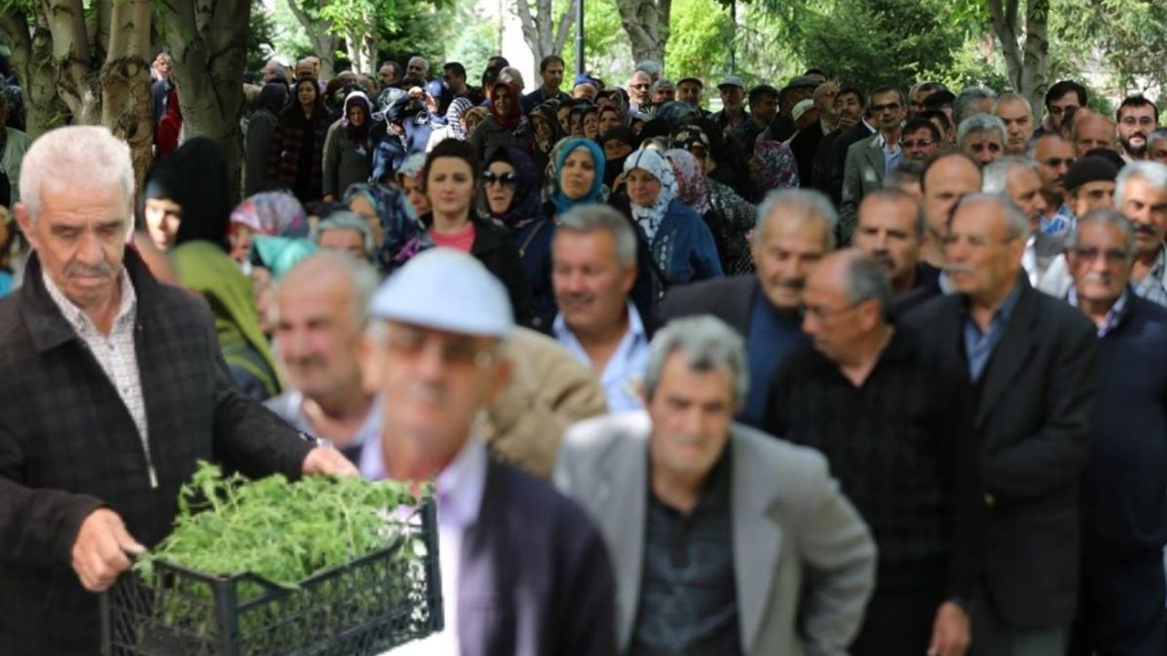 Kayseri’de domates fidesi ne zaman dağıtılacak?
