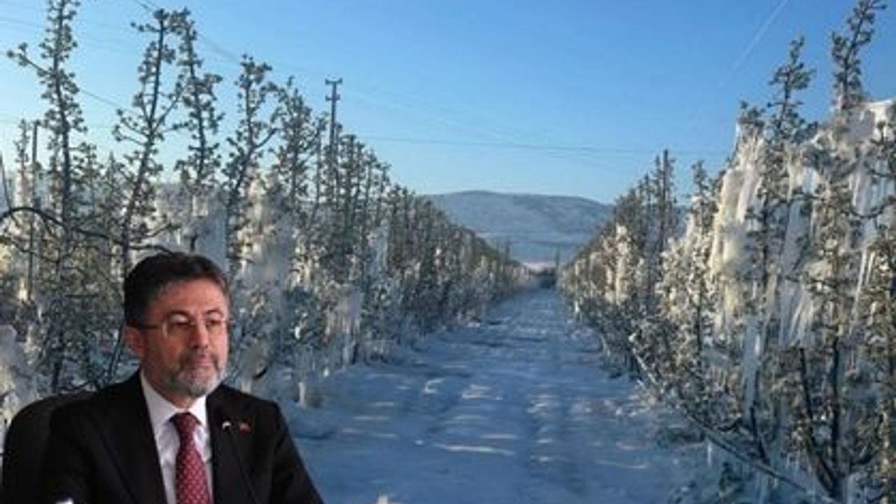 Zirai don sonrası Tarım ve Orman Bakanı’ndan kritik çağrı! Sahaya çıkın birlikte yapın