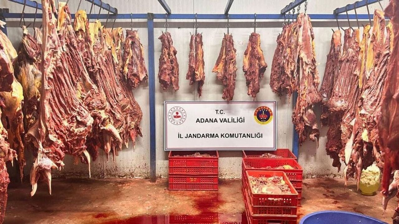 Tek tırnaklı hayvana ait 3 ton bozulmuş et ele geçirildi