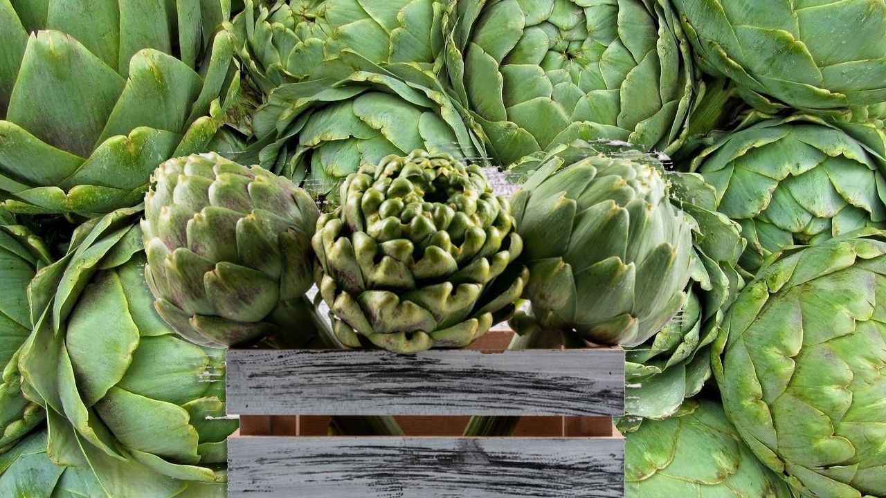 Karaciğerin Dostu Enginarın Faydaları