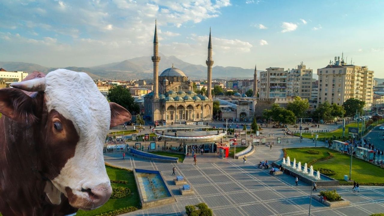 Kayseri’de kurbanlık fiyatları asgari ücreti ezdi geçti!