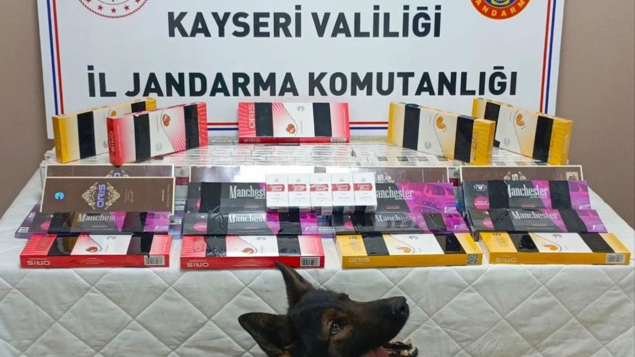 Kayseri'de jandarma ekipleri tırı durdurdu! Tam 700 paket ele geçirildi