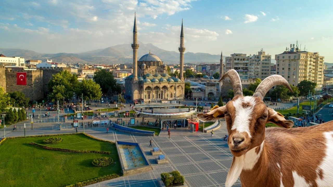 Kayseri’de kurban pazarları nerelerde kurulacak? İşte tam liste