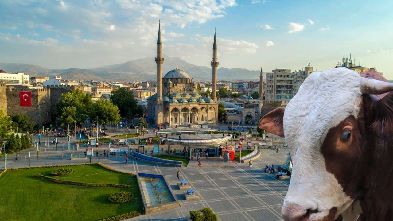 Kayseri'de kurbanlıklar yerini aldı! Satılmayan hayvanlar ne olacak?