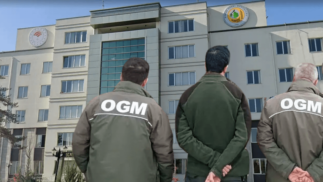 Kayseri Orman İşletme Müdürlüğü personel alımı yapacak! İşte şartlar