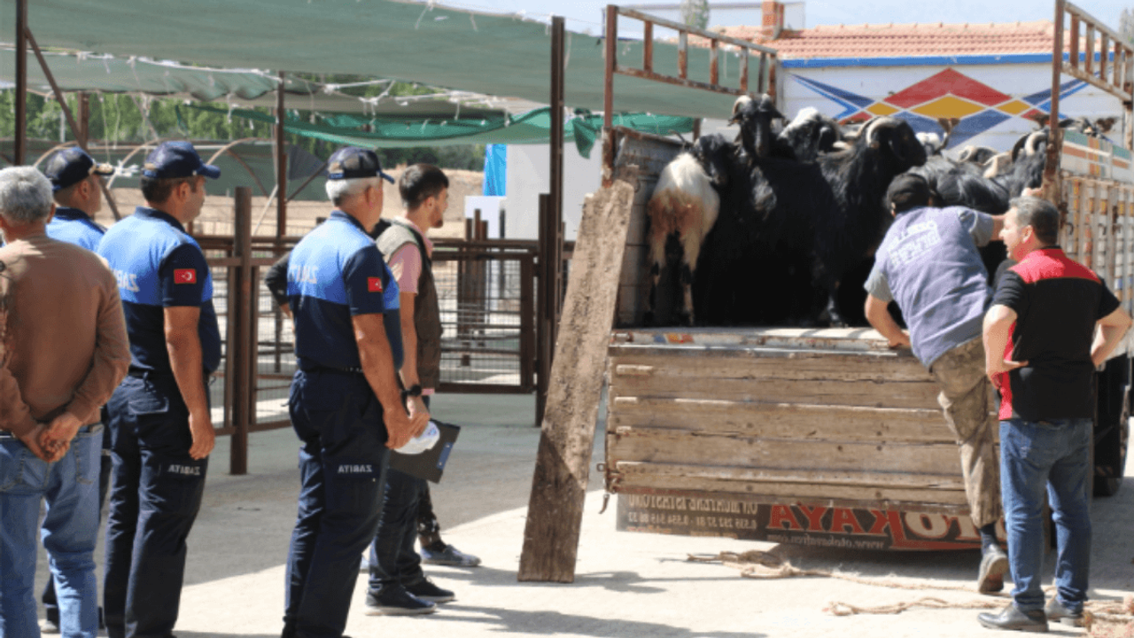 Kayseri'de kurban satışı yapmak isteyenler dikkat: Başvurular başladı