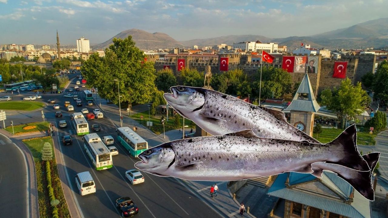 Kayseri’nin o ilçesi Alabalık üretim devi olma yolunda!