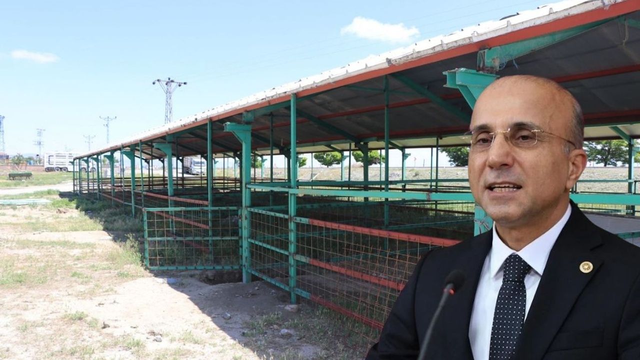 Kayseri Milletvekili hayvan pazarında! Üretici dert yandı