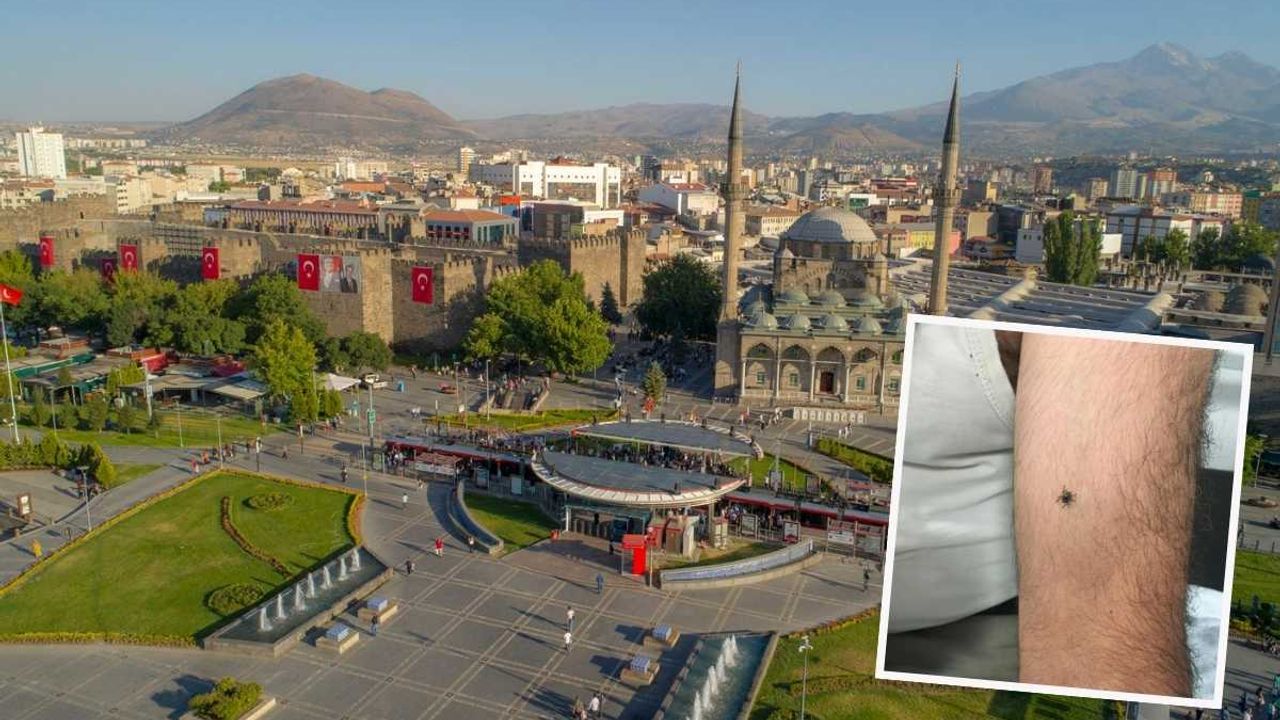 Kayseri'de bir kene vakası daha! Tomarza, Pınarbaşı derken...