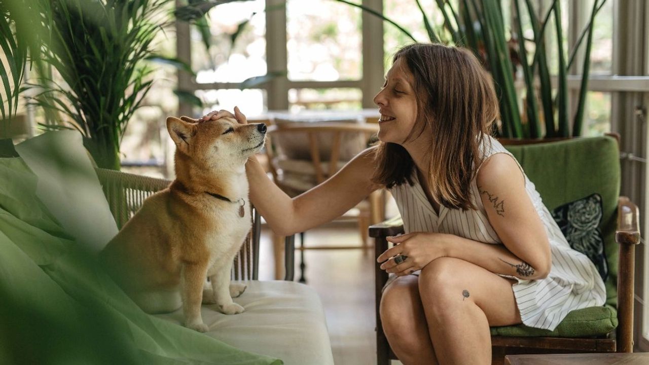 Kedi ve Köpeklerin Telepatik Bağlantısı: Bilimsel Kanıtlar Var Mı?