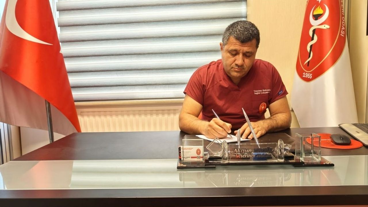 Yaz aylarında sinek alarmı: Yüzlerce tür hastalık taşıyorlar!