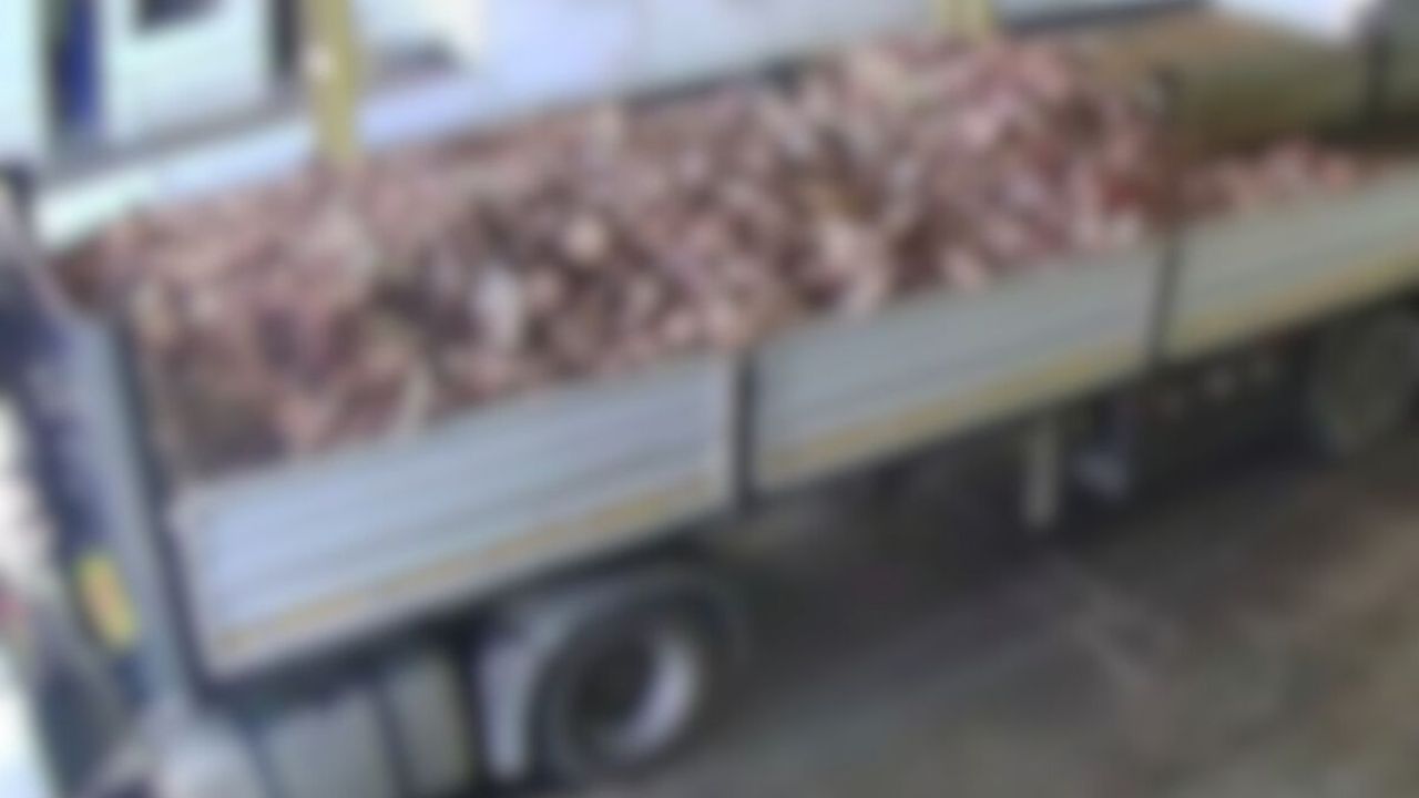 Kayseri’den skandal görüntüler! Tonlarca kemik bakın nasıl taşındı?