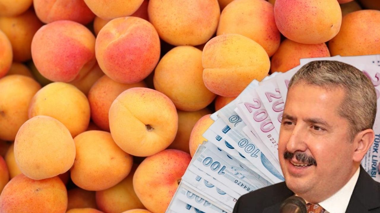 Kayserili Bakan Yardımcısı'ndan dikkat çeken paylaşım! Bilgihan Ova'ya rekor ceza geldi