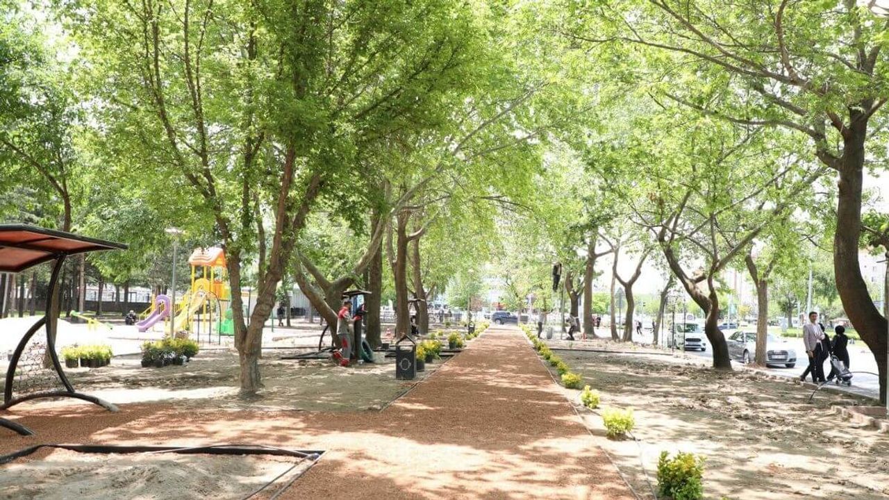 Kayseri'nin merkezinde dönüşüm başladı! Vatandaşların tercihi orası olacak