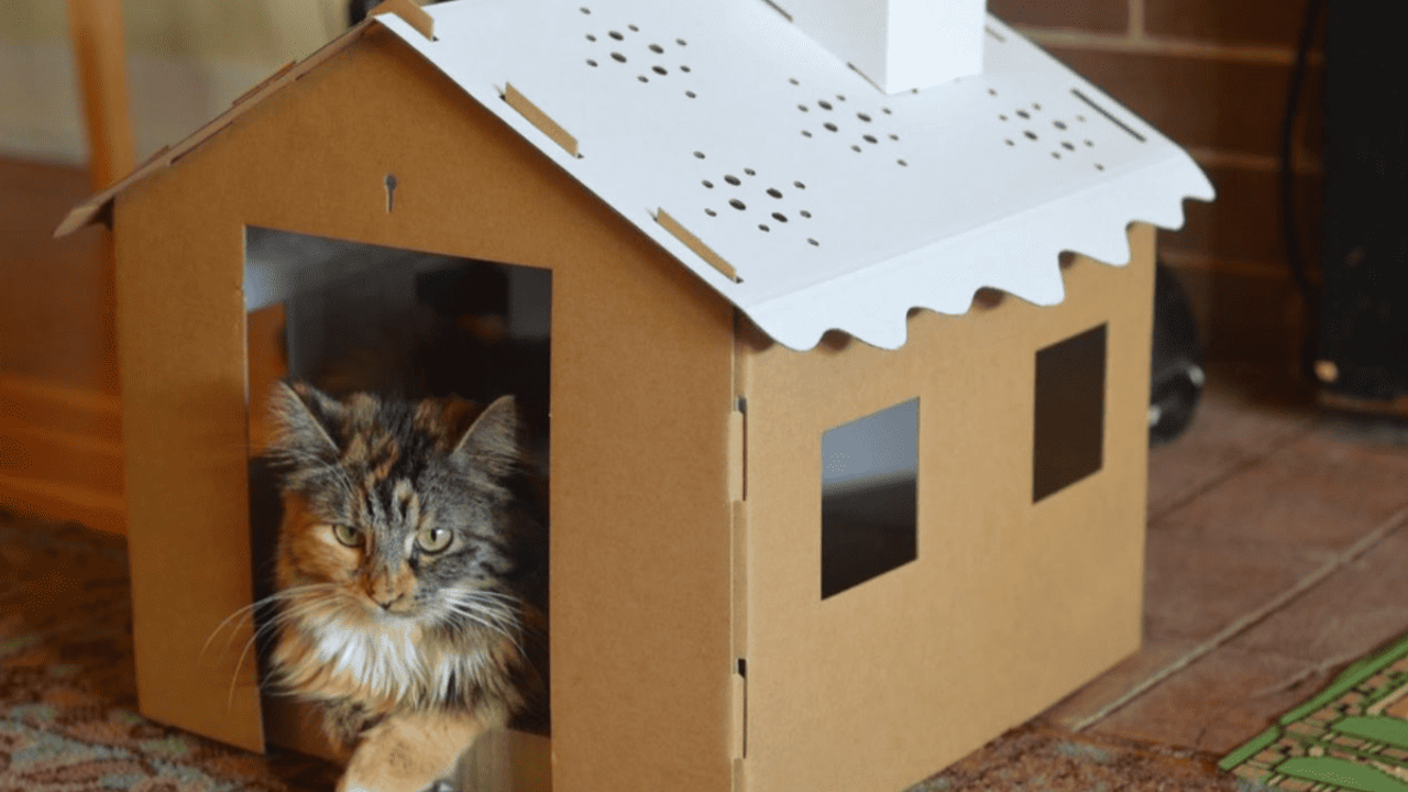 Kedisi olan aileler için pratik ve eğlenceli kedi evi fikirleri