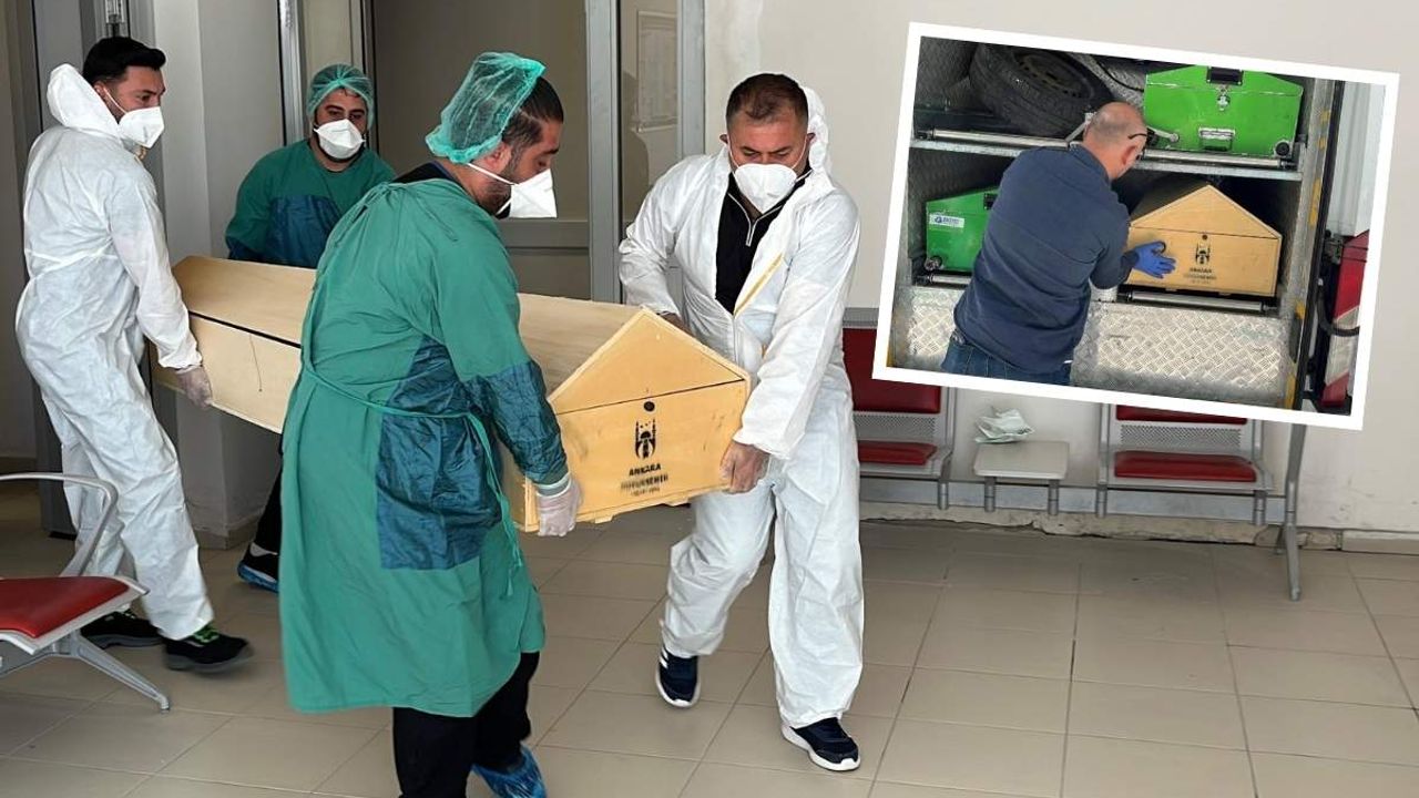 Bir kene vakası daha! 72 yaşındaki kadın hayatını kaybetti