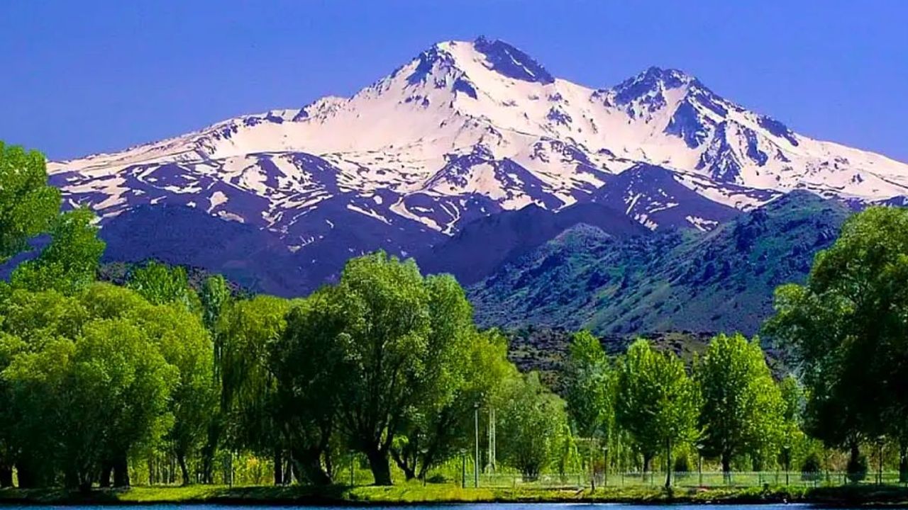 Erciyes Dağı eteklerine bal ormanı talebi! Arıcıların umudu bu projede