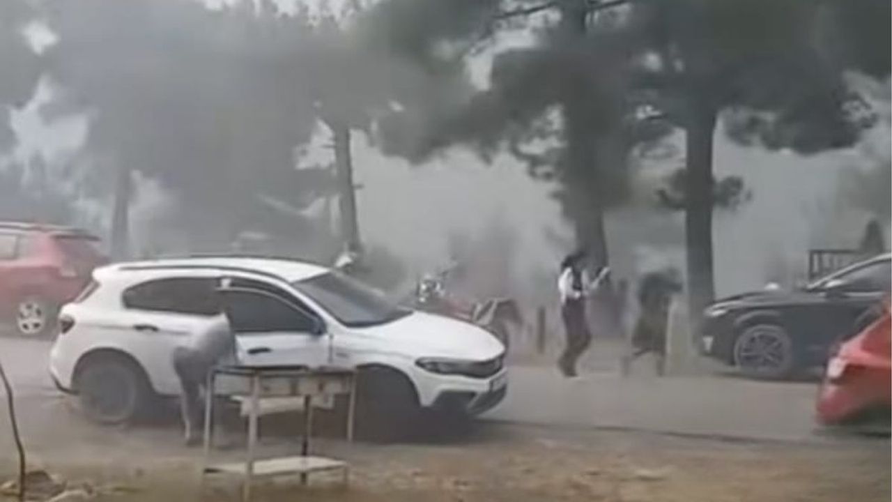 Kayseri'de bir anda gerçekleşti! Ne olduğunu anlayamadan herkes kaçmaya başladı