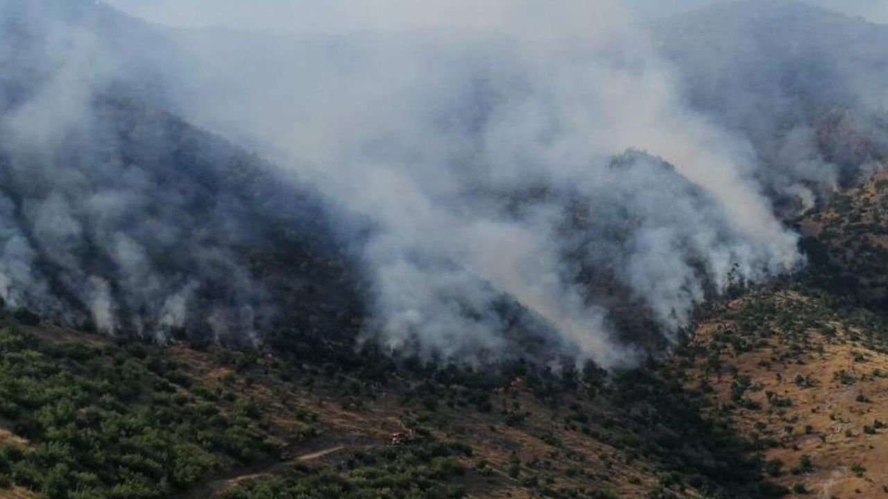 Ormanda yangın alarmı! Alevlere havadan ve karadan müdahale sürüyor