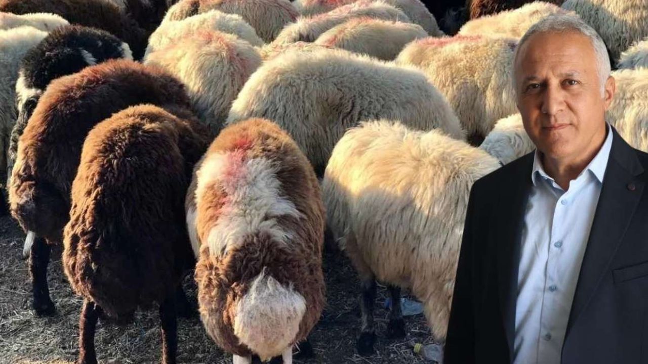 Aldığı kurbanlık ayıplı çıkan vatandaş maddi manevi tazminat alabilecek