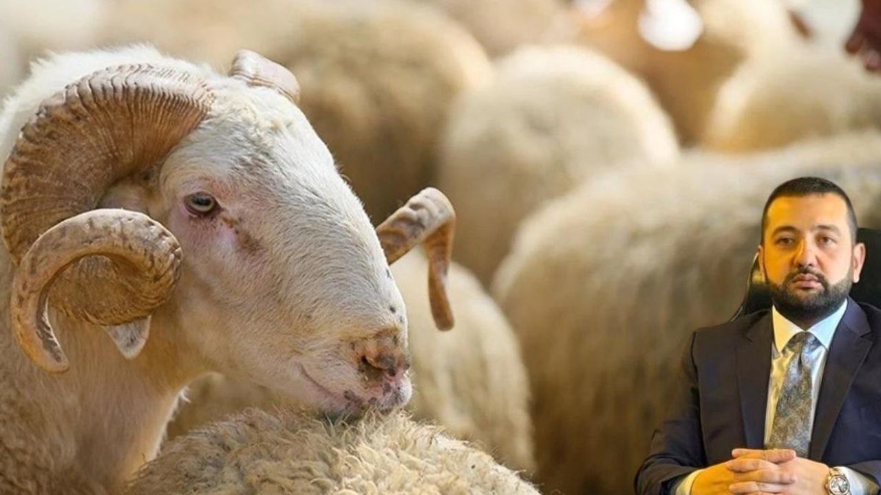 Kayserili İş İnsanından örnek hareket! 100 aile kurban dağıtılacak