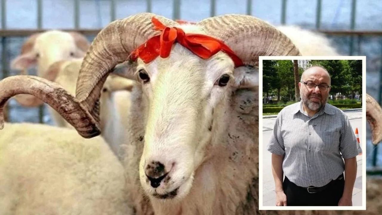 Kurban nasıl dağıtılmalı? İşte az bilinen gerçekler