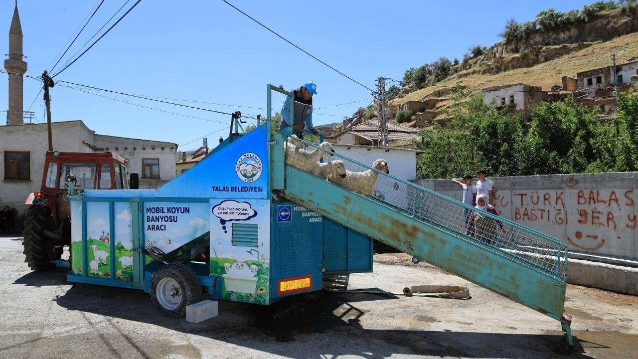 Kayseri'de kritik önlem: Keneye karşı mücadele devam ediyor!