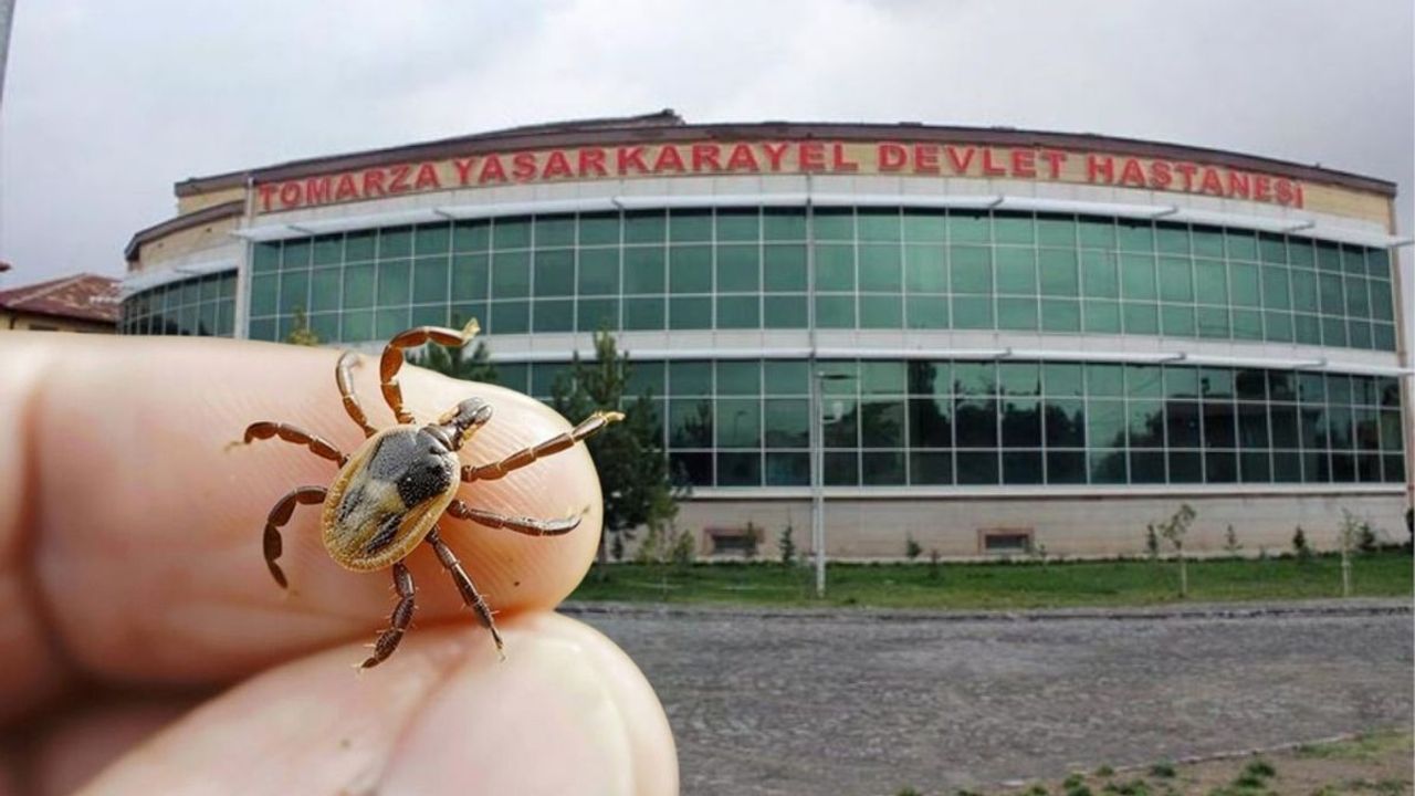 Tomarza’da kene istilası: Başkan Koç sessizliğini koruyor!
