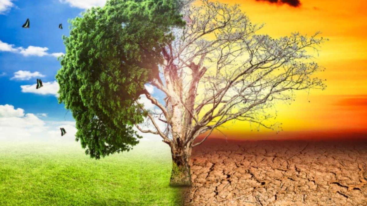İklim Adaleti Nedir? Zengin Ülkeler Daha mı Sorumlu?