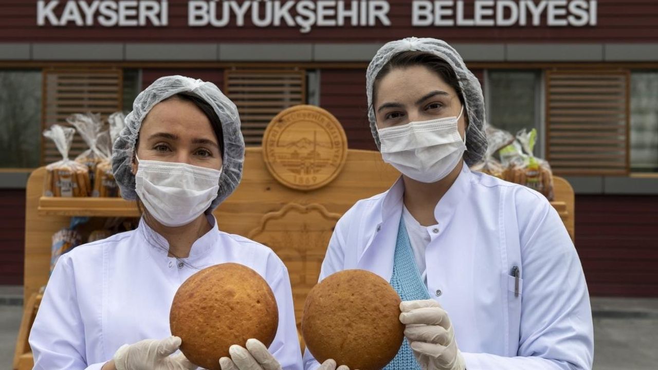 Kayseri'nin Gacer buğdayı Türkiye'nin gündeminde!