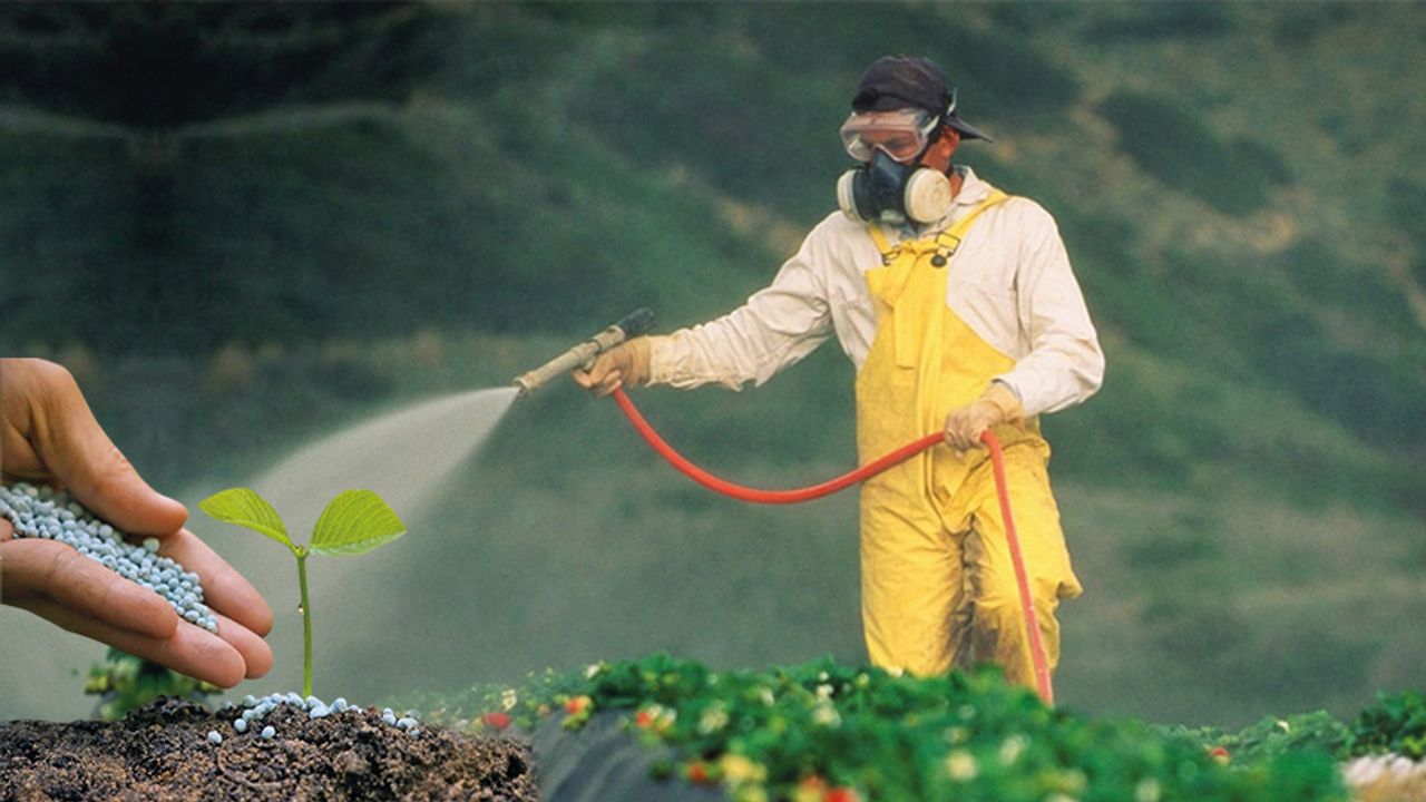 Bitkilerinizin Gübreye İhtiyacı Olduğunu Gösteren İşaretler