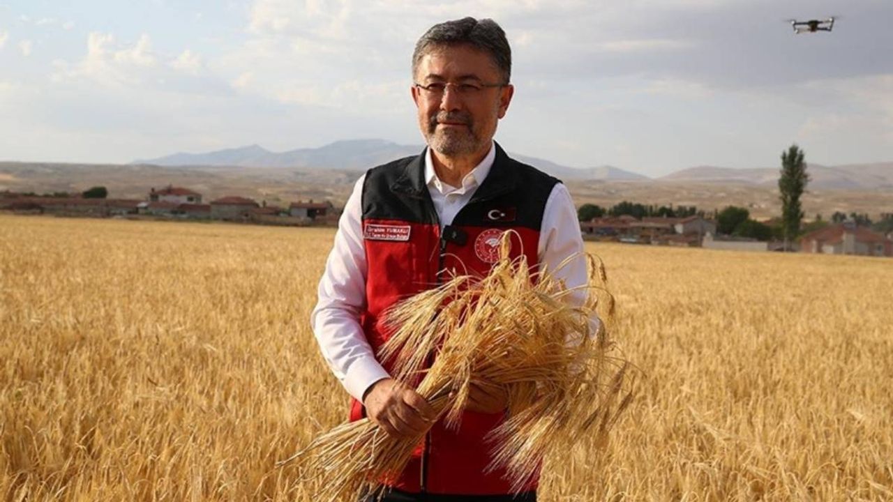 Çiftçilere müjde! Hububat ödemesi başladı