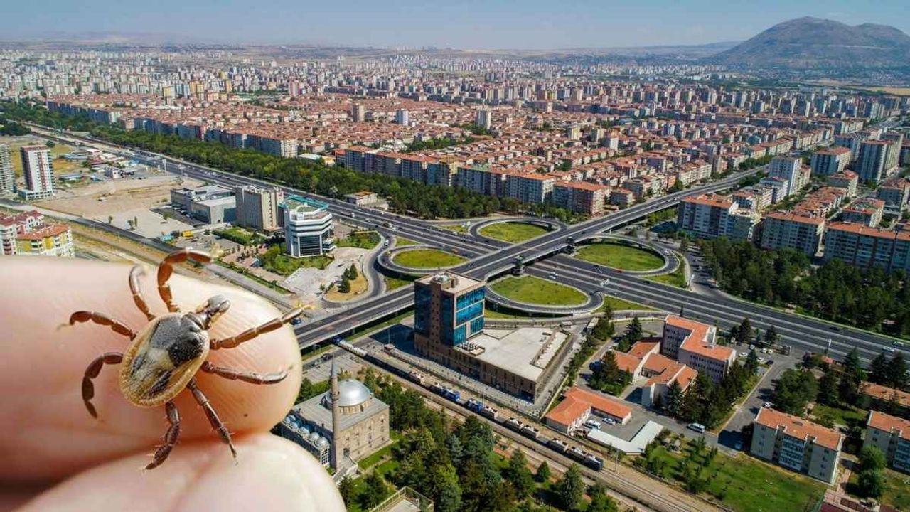 Yaz tatili için memleketine gelmişti: Kayserili gurbetçi kene kurbanı oldu!