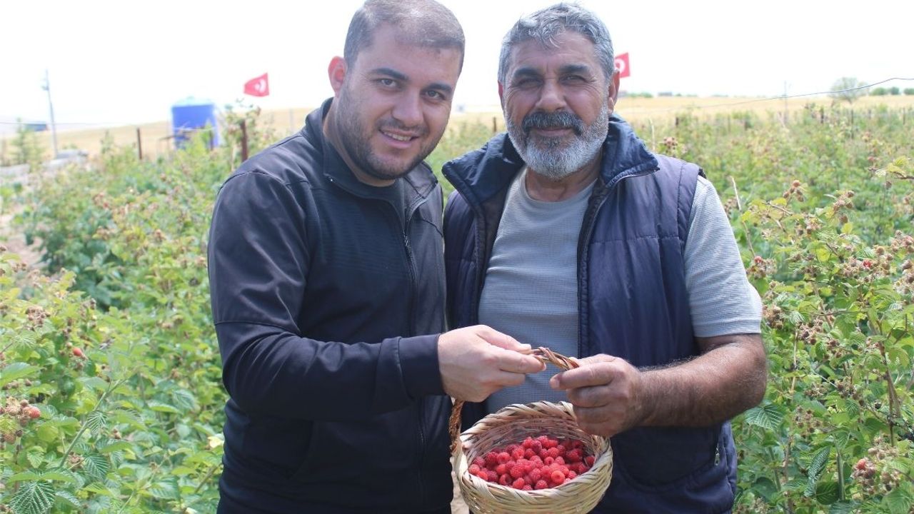 Kayseri'de 'hobi' olarak işe koyuldu: Şimdi taleplere yetişemiyor!