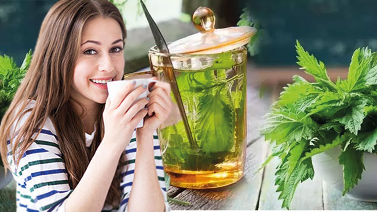 Isırgan Otu Çayının Faydaları