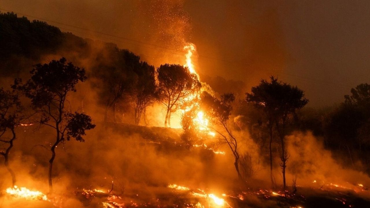İzmir, Antalya, Hatay… Ülkenin dört bir yanında orman yangını! Acı haber geldi