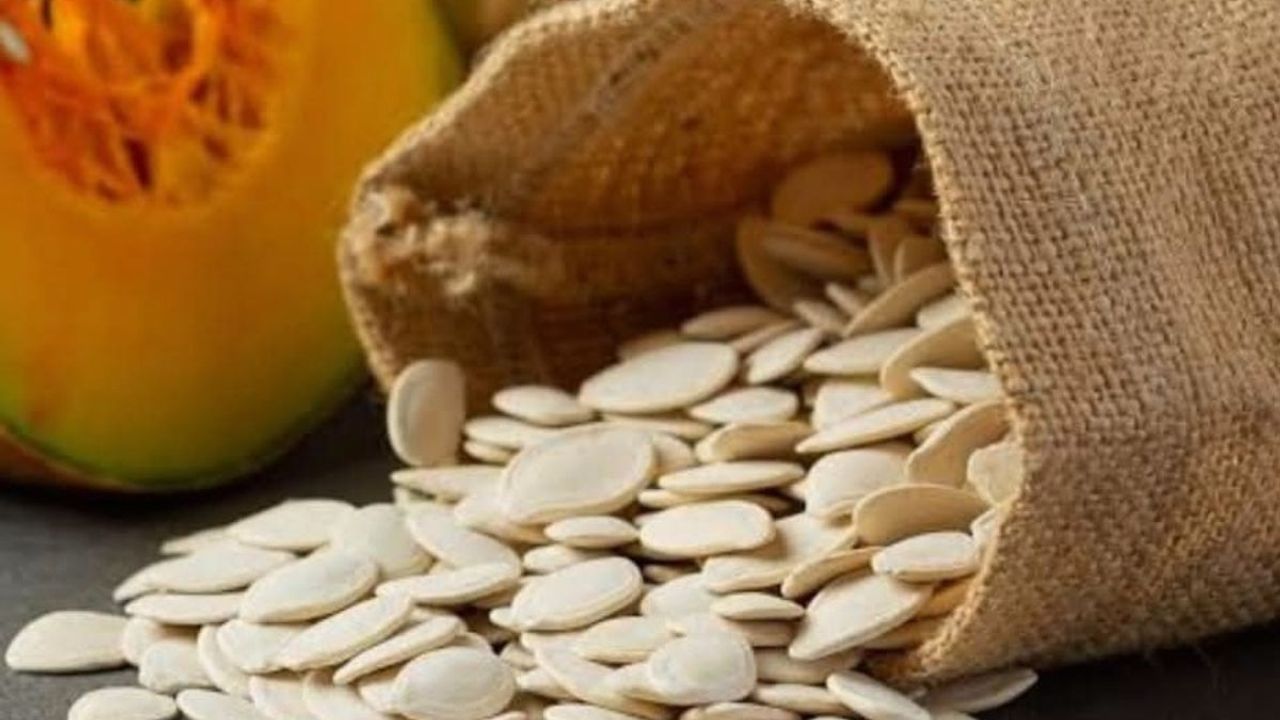 Develi’de kabak alarmı! Çiftçi tarlayı bırakıp duaya sarıldı!