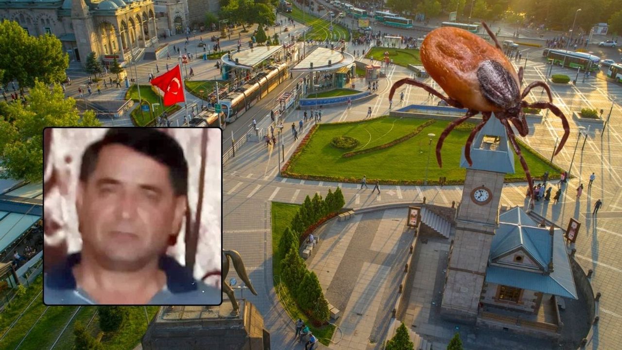 Kayseri'de kene alarmı devam ediyor! Can kaybı 6’ya çıktı!