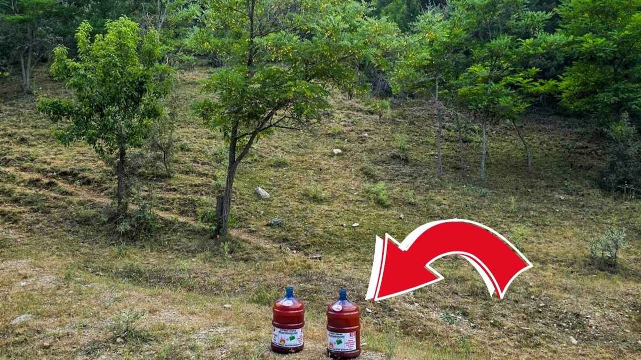 Kayseri Orman Bölge Müdürlüğü harekete geçti! 150 damacana su yerleştirildi