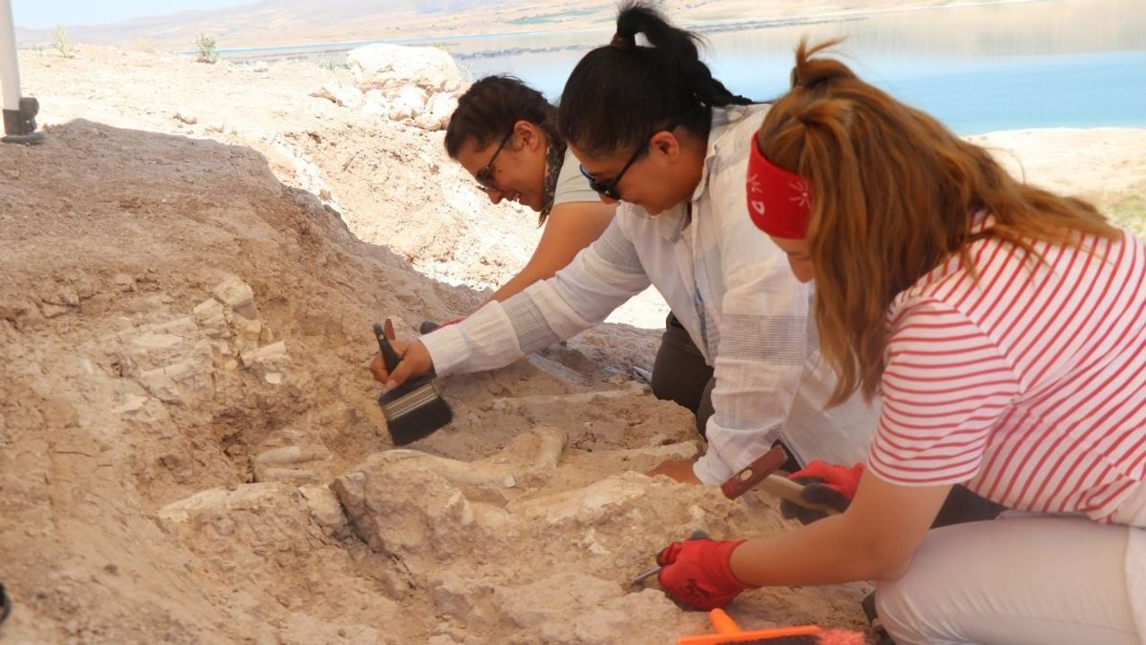 Kayseri'de gizli kalmış tarih: Milyonlarca yıl öncesine ışık tutuluyor!