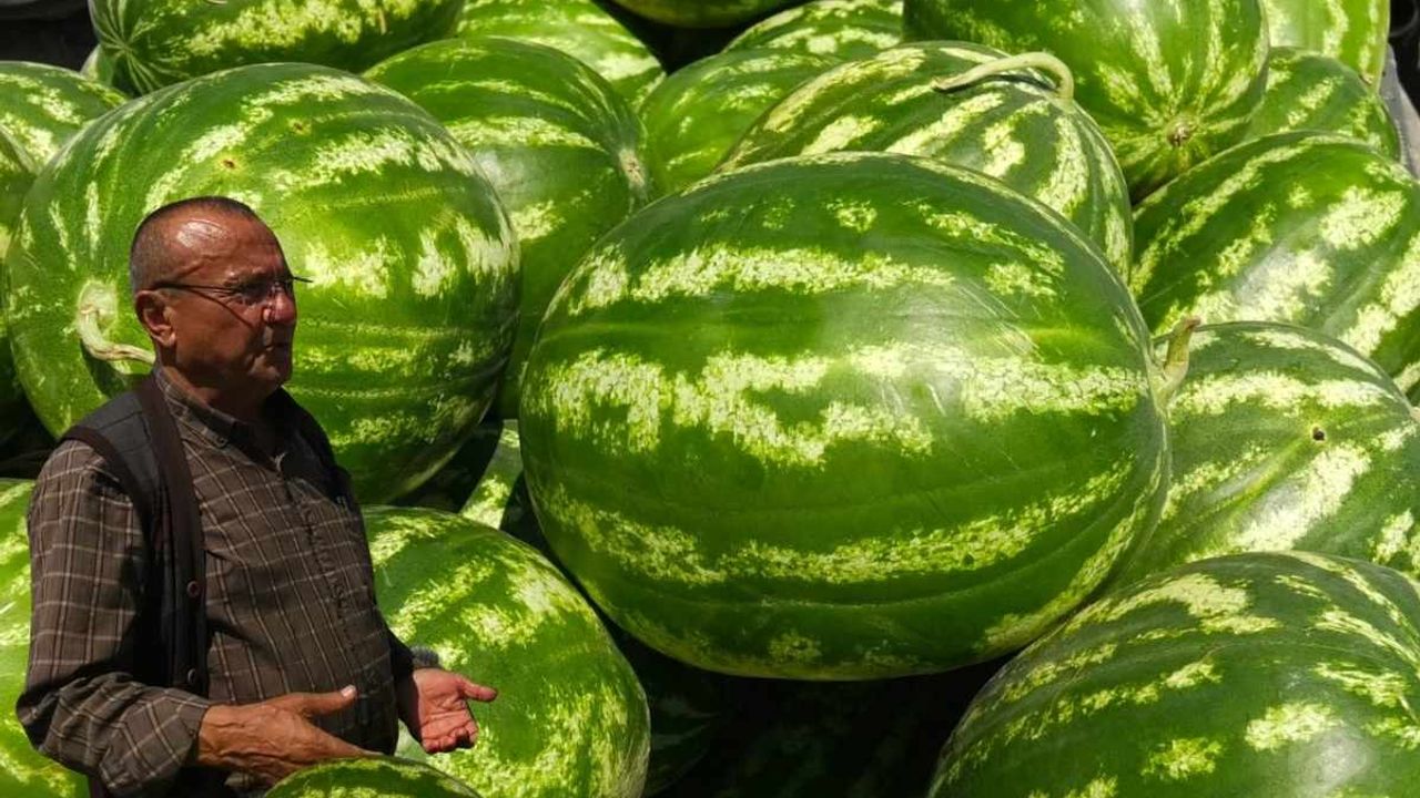 Kayseri'de karpuz krizi! Hal esnafı isyan etti
