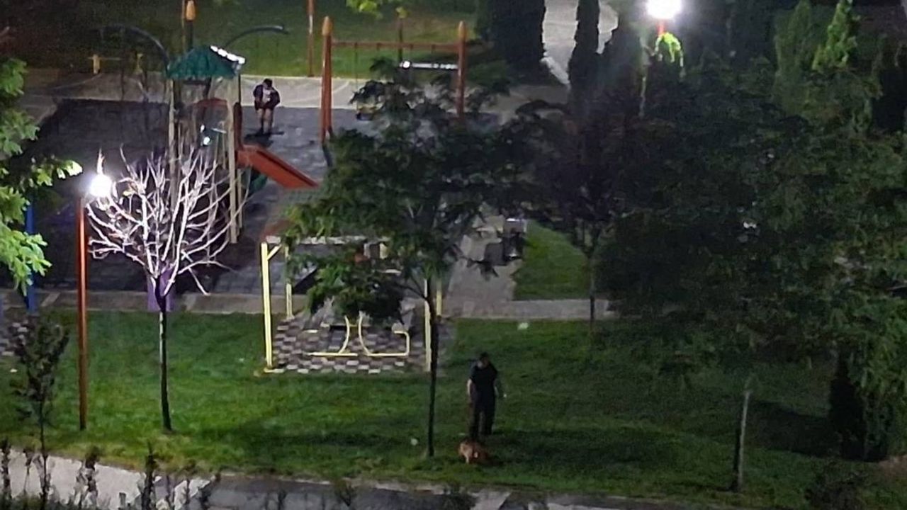 Kayseri'de köpek dışkısı parkı kullanılamaz hale getirdi, mahalleli çözüm bekliyor